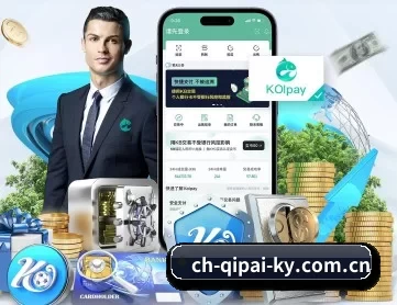 开云棋牌 APP 深度功能