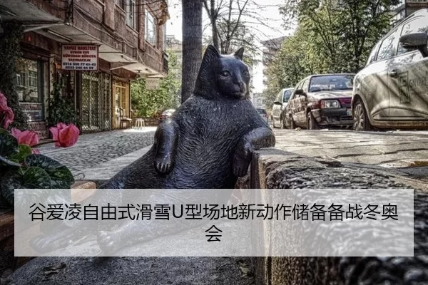gu-ai-ling-zi-you-shi-hua-xue-xing-chang-di-xin-dong-zuo-chu-bei-bei-zhan-dong-ao-hui-3-641.jpg