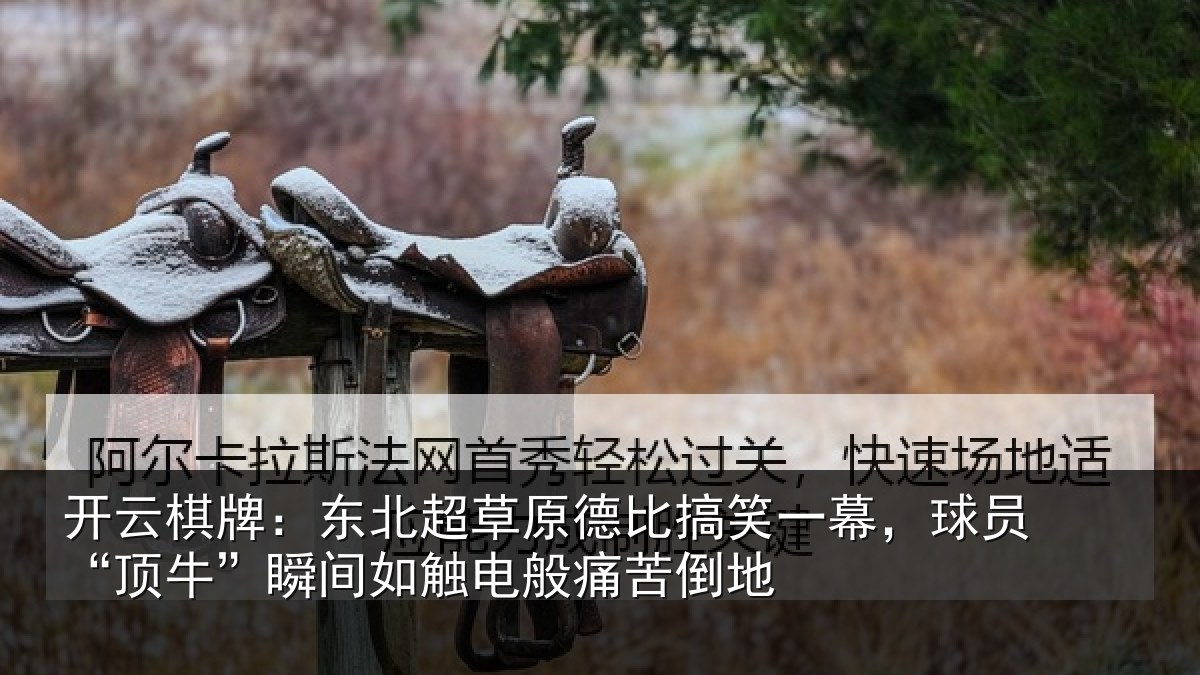 开云棋牌：东北相关情况幕球相关情况般痛苦倒地