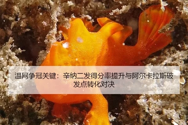 wen-wang-zheng-guan-guan-jian-xin-na-er-fa-de-fen-lv-ti-sheng-yu-a-er-ka-la-si-po-fa-dian-zhuan-hua-dui-jue-2-243.jpg