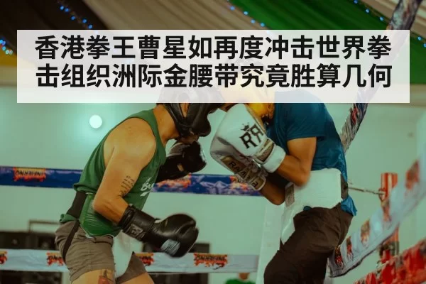 香港拳王曹星如再度冲击世界拳击组织洲际金腰带究竟胜算几何